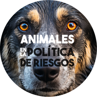 Proyecto de Ley 009 2023