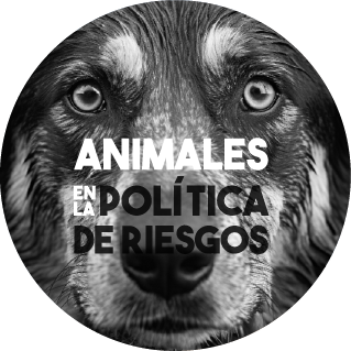 Proyecto de Ley 009 2023